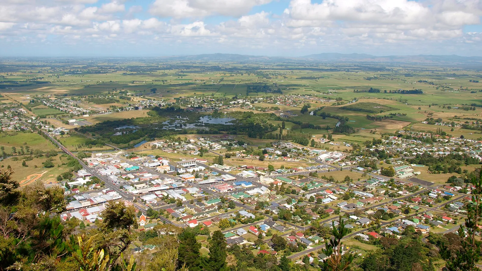 Te Aroha township and the plains seen from the slopes of Mount Te Aroha